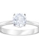 Swarovski Yüzük Attract:Ring Rnd Czwh/Rhs 52 5402428 Swarovski Yüzük Attract:Ring Rnd Czwh/Rhs 52 5402428