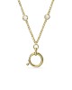 5629491 Swarovski Kolye Curıosa:Cn Sprıng Rıng /Cry/Gos 5629491